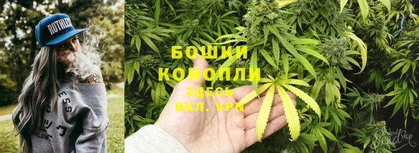 метадон Новозыбков