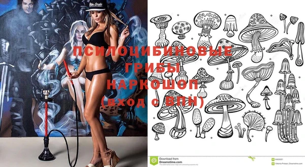 дживик Алзамай