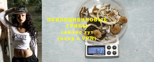 дживик Алзамай