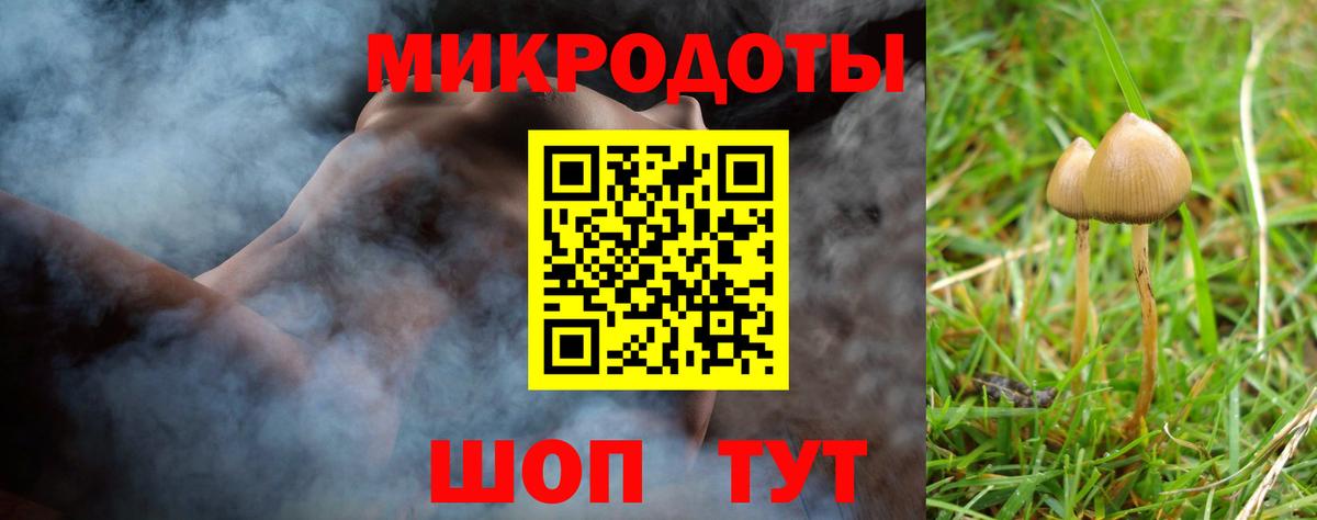 Галлюциногенные грибы мицелий Полысаево