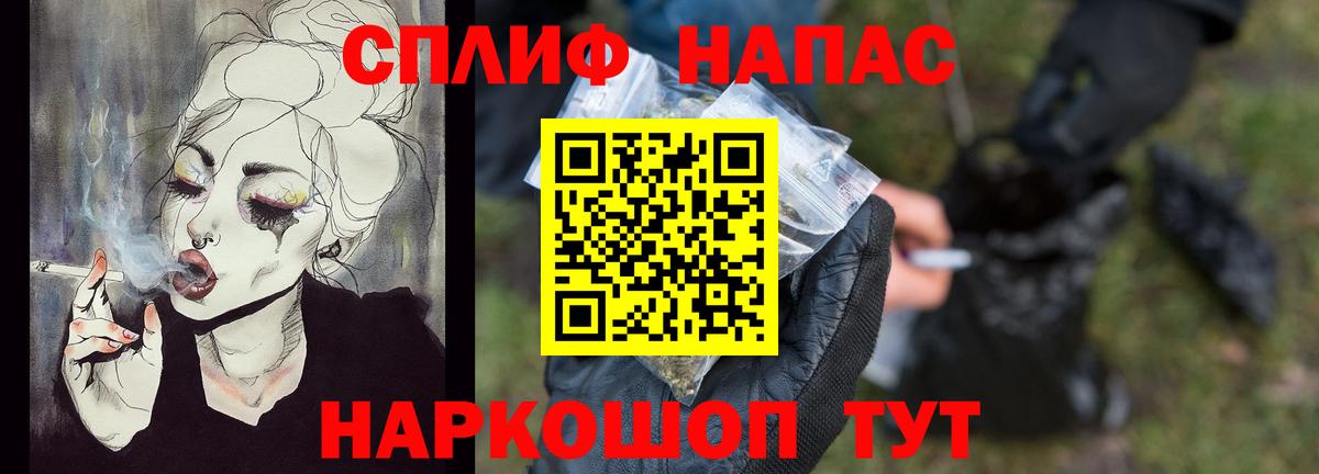 Бошки Шишки планчик Полысаево